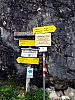 IMG_2204.JPG